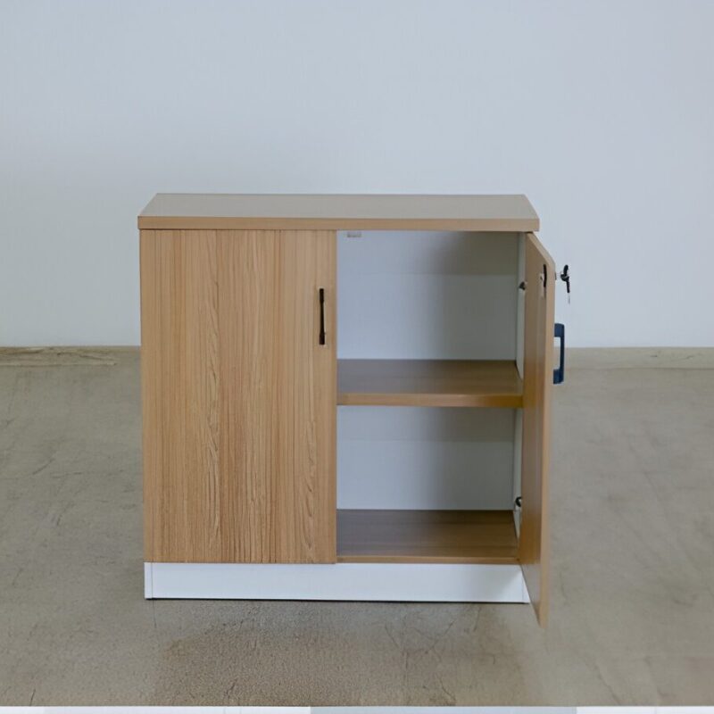 2 Door Executive Cupboard